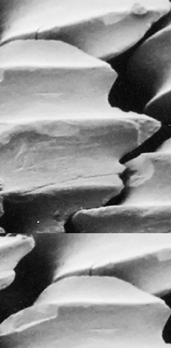 Mais de 4000 ranhuras por cm² para um desempenho incomparável.