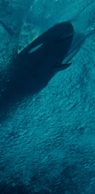 Aumento significativo na velocidade.